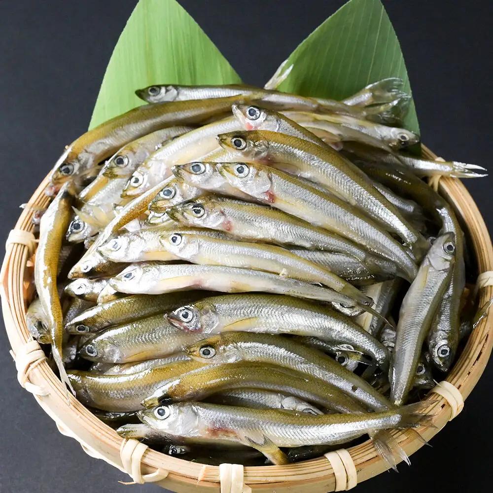 十和田湖わかさぎ 約500g 冷凍