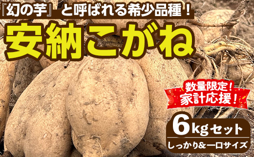n331-z ＜先行予約受付中！2026年10月下旬頃より順次発送予定＞種子島産 安納こがね(6kgセット) 生活応援 家計応援 国産 安納芋 黄金本場 種子島 芋 イモ いも さつまいも さつま芋 安納いも 野菜 【なかたね農産】