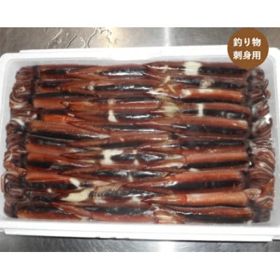 
                  スルメイカ　30尾　約4.5kg【1709991】
                