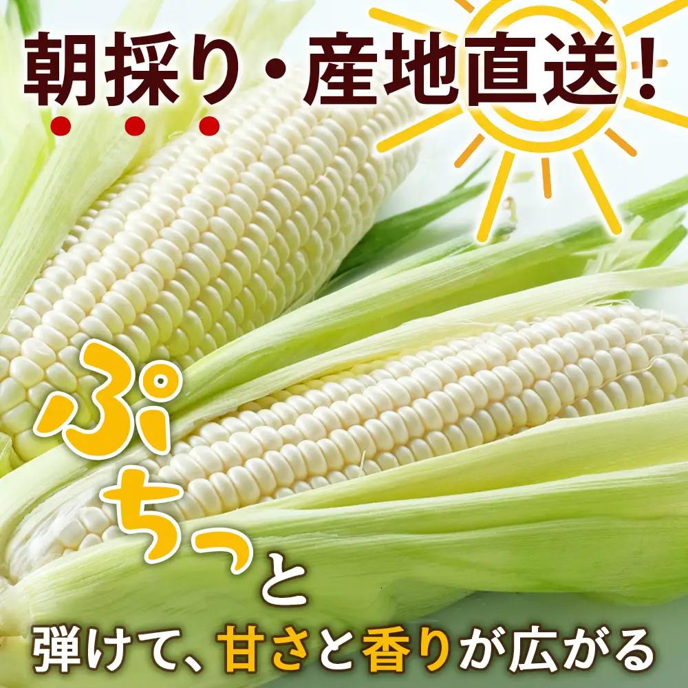 2026年夏発送 キリン淡麗極上(生) 500ｍl 12缶＆白いとうもろこしピュアホワイト10本