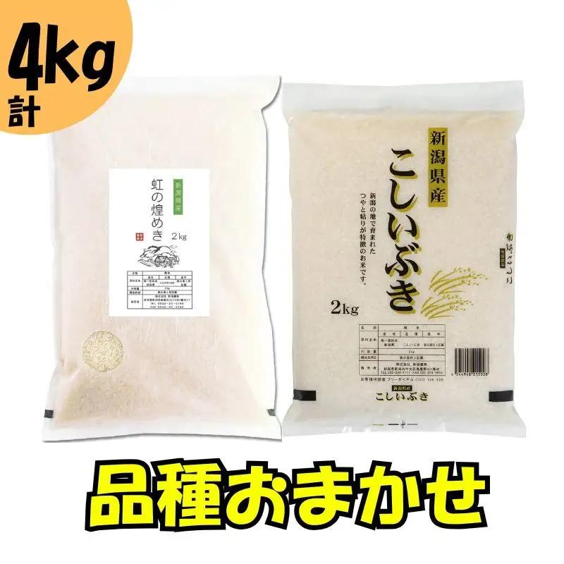 【7月下旬配送】 新潟県産 品種おまかせ 4kg 新潟県 新潟市産 令和7年産 お米 精米 米 ご飯 送料無料