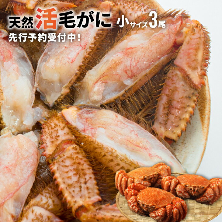 【ふるさと納税】【先行受付開始！】漁協の活毛がに 小サイズ3尾セット※日付指定対応不可※[02-1206]※離島・沖縄県発送不可※ 北海道 浦河町 ふるさと納税 北海道産 北海道日高産 極寒 活毛がに 毛ガニ カニ 小サイズ 3尾 送料無料
