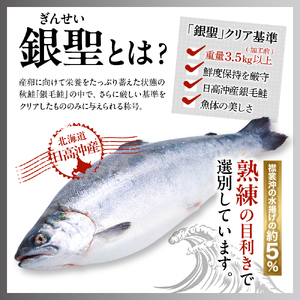 えりも産銀聖鮭塩引き10切セット【er003-020】 / 鮭 さけ サケ シャケ しゃけ 切身 切り身 銀鮭 銀聖 銀毛 銀毛鮭 塩鮭 塩漬 塩漬 辛口 焼き魚 焼魚 ムニエル 冷凍 冷凍便 魚介類