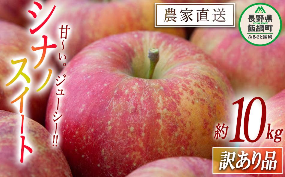 
                  りんご シナノスイート 訳あり 10kg 松橋りんご園 2026年10月上旬頃から2026年11月上旬頃まで順次発送予定 令和8年度収穫分 フルーツ リンゴ 信州 長野県 飯綱町 [0550]
                