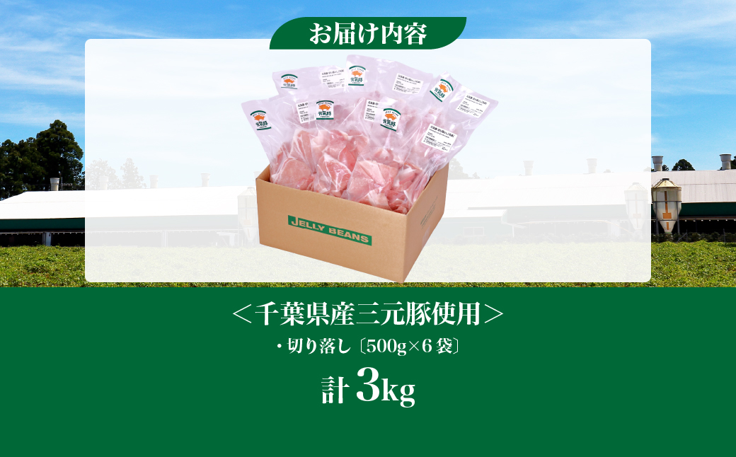 【小分けで便利】国産 元気豚 切り落とし 3kg(500g×6袋)　千葉県産三元豚　パラパラ凍結【配送不可地域：離島・北海道・沖縄県】 TAKB011