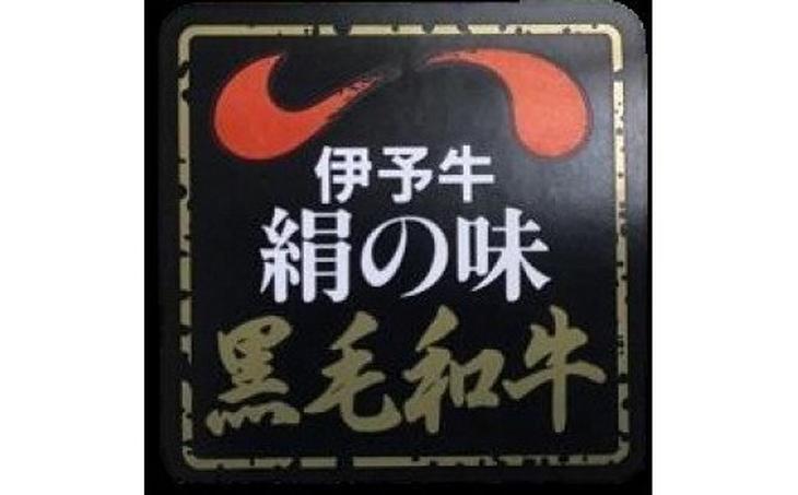 【愛媛県共通返礼品】愛媛県産伊予牛「絹の味」黒毛和牛約400g