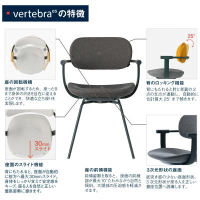 ふるさと納税 近江八幡市 イトーキ『バーテブラ03』4本脚 スチール脚 フレーム:ダークグリーン SD張地:ダークグレーC |  | 03