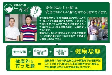 綾ぶどう豚やわらか味噌 食べつくし3種セットB（36-212）