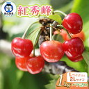 【ふるさと納税】 【令和7年産先行予約】 山形県 鶴岡産 さくらんぼ 紅秀峰 1kg Lサイズ 又は 2Lサイズ バラ詰め　元青果