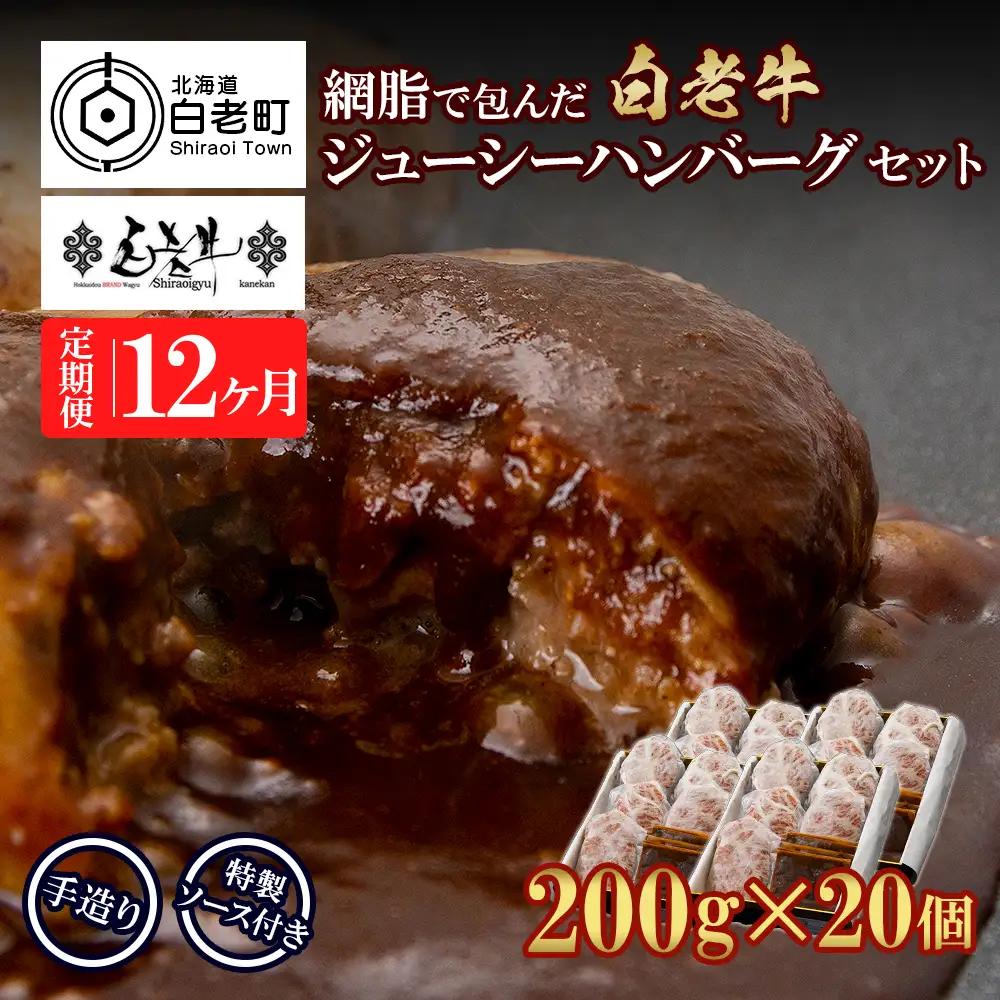 定期便12カ月 お楽しみ 白老牛 ジューシー ハンバーグ セット 20個 BY105