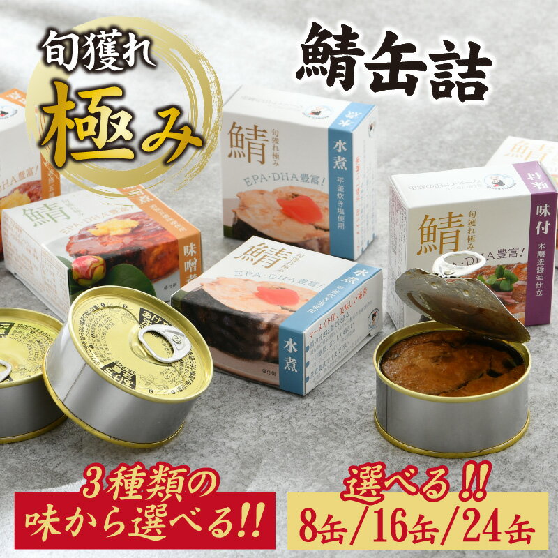【ふるさと納税】【味が選べる】【容量が選べる】旬獲れ極み鯖缶詰各種 8～24缶 | お歳暮 福井県小浜市 キャンプ アウトドア 酒の肴 おつまみ 保存食[A-003059]