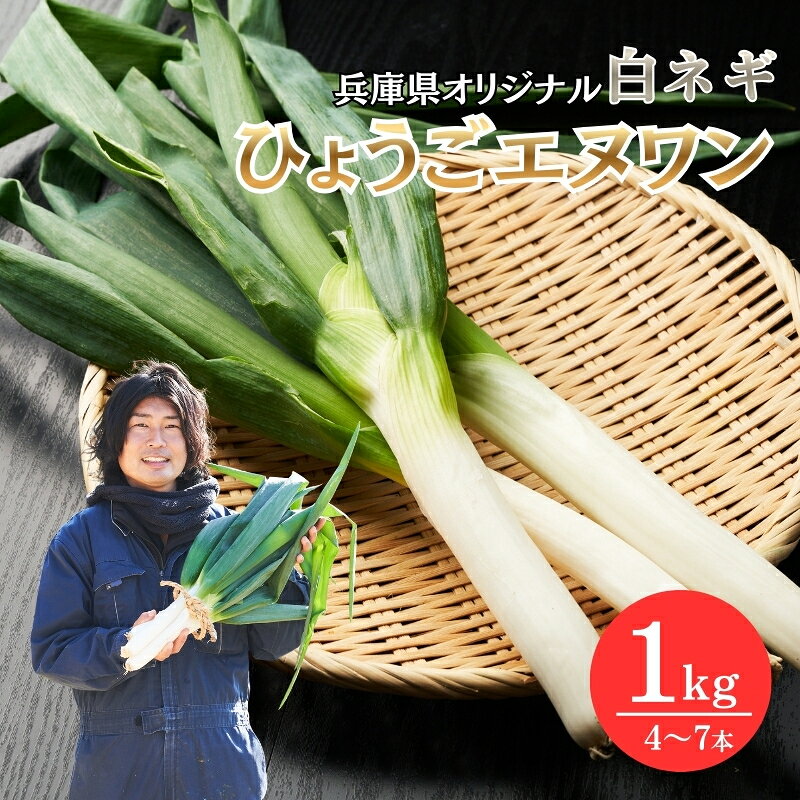 【ふるさと納税】数量限定 テレビで話題 極上 ひょうごエヌワン 白ネギ 1kg 4～7本 ねぎ 長ネギ 兵庫県加西市 限定出荷 有機肥料 鍋料理 ネギ焼き ネギアヒージョ 中華スープ　お届け：2026年11月中旬以降順次発送