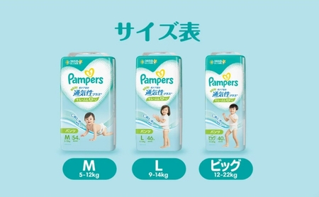 パンパース 通気性プラス パンツ タイプ 2パックと おしりふき 2パック[ Pampers おむつ オムツ ] M：54枚