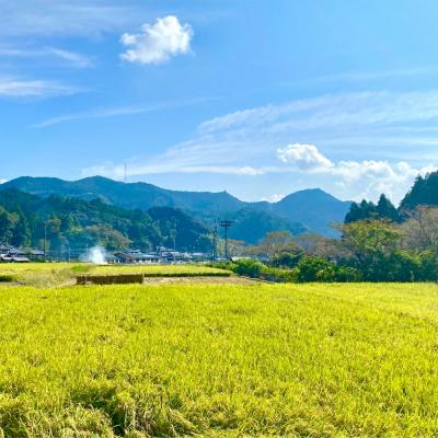 ふるさと納税 八代市 《令和7年産》 鶴喰米 精米300g(2合分) ×2袋 くまさんの輝き_094-6122-A |  | 02