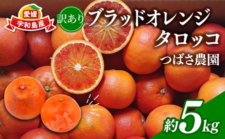 訳あり ブラッドオレンジ タロッコ 5kg 愛媛みかん つばさ農園 先行予約 わけあり 訳アリ 訳あり品 オレンジ 果物 くだもの フルーツ ブラッド オレンジ 柑橘 みかん 愛媛蜜柑 愛媛ミカン みかん ミカン 蜜柑 mikan 農家直送 産地直送 数量限定 国産 愛媛 宇和島 B010-048015