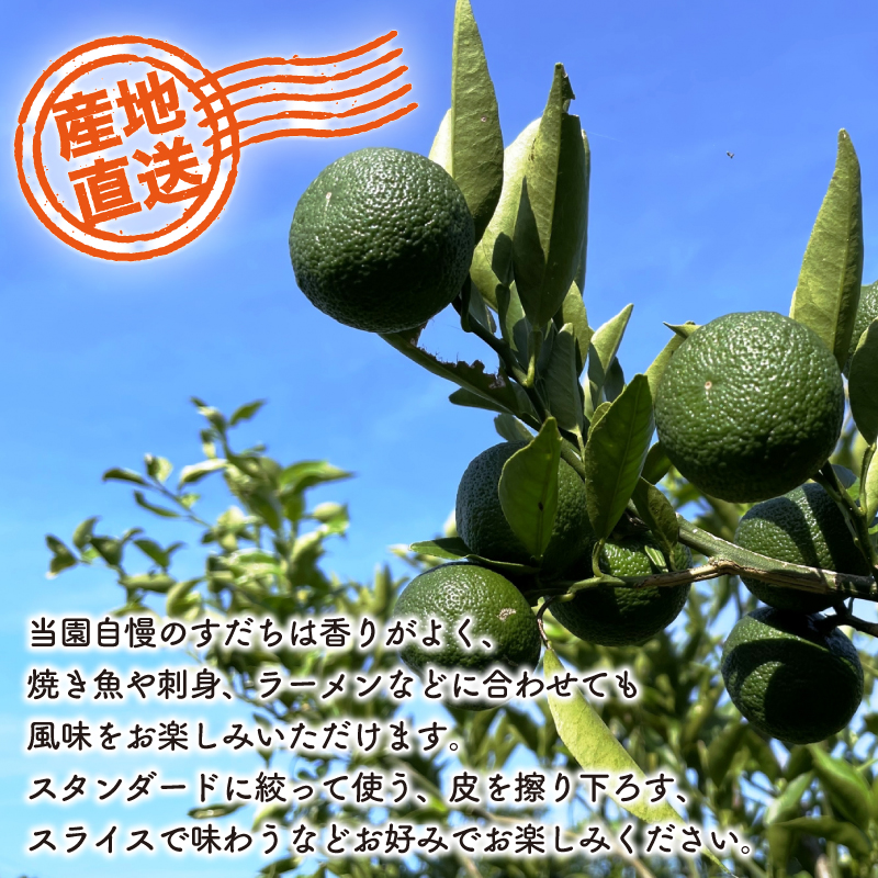 すだち 2kg 箱 ノーワックス 防腐 防カビ剤 不使用  徳島県 阿波 柑橘 フルーツ 副菜 皮ごと  輪切り スライス  露地栽培 ビタミンC 焼き魚 豆腐 うどん 冷酒  徳島県 阿波市