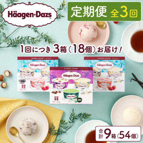 ＜全3回定期便・連続＞ハーゲンダッツ『アソートボックス3箱セット(合計9箱)』アイスクリーム アイス スイーツ デザート_H0016-147