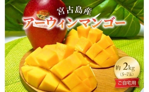 
            GZ003《先行予約 2026年発送》宮古島産アーウィンマンゴー 約2kg（5～7個）【ご自宅用】「LA MANGUE BLEUE」農家直送
          