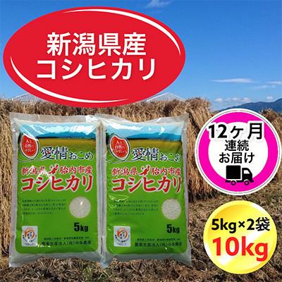 ふるさと納税 胎内市 【毎月定期便】【12ヶ月連続お届け】新潟県胎内市産コシヒカリ10kg(5kg×2袋)全12回