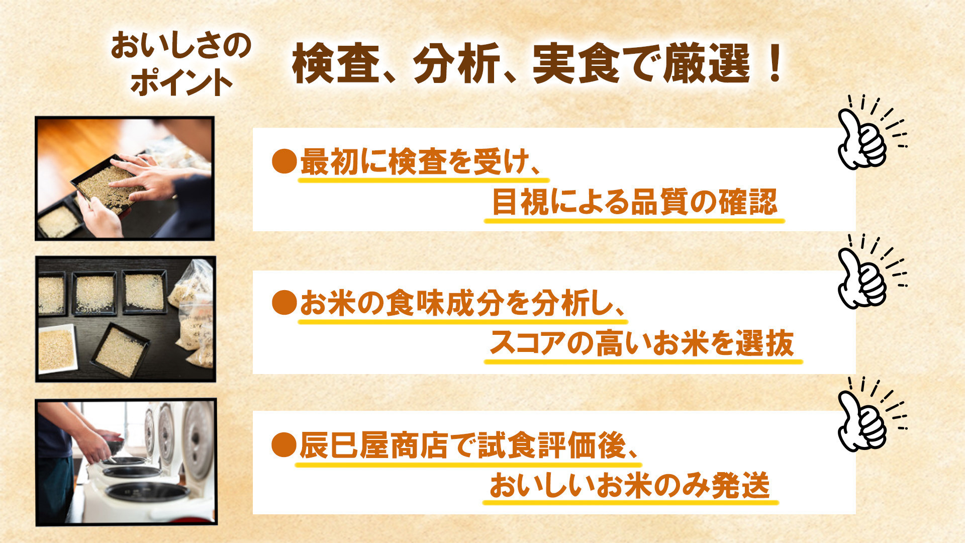 【令和7年産新米先行予約】南魚沼産新之助10kg【2025年10月下旬より順次発送予定】