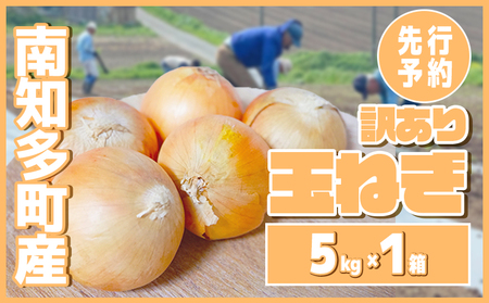 【先行予約 5-6月出荷】 訳あり 玉ねぎ 5kg(1箱) 野菜 オニオン 甘い 玉葱 肉じゃが ハンバーグ 家庭用 大きさ不揃い 先行予約 