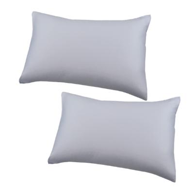 ふるさと納税 和泉市 パジャマ(男女兼用Lサイズ)&ダウンピロー(羽毛枕)&ピローケース2枚　カラー　シルバースカイ |  | 01