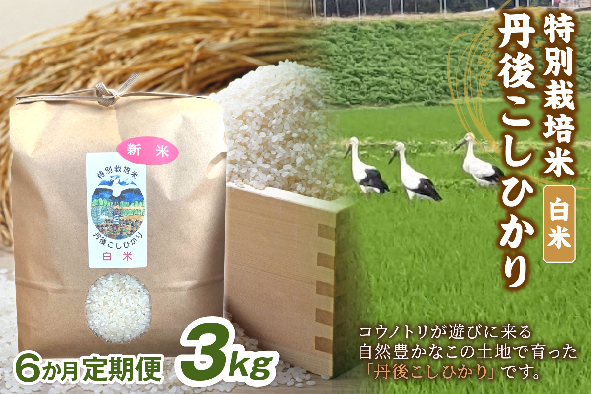 【定期便】白米3kg×6か月 京丹後久美浜産 特別栽培米こしひかり　KU00087