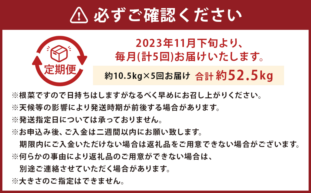 【2023年11月下旬発送開始】【5ヶ月定期便】熊本産 紅はるか 約10.5kg