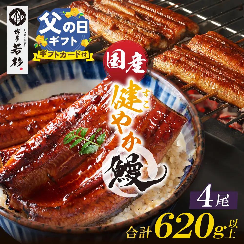 Z61-68R02 寄附額改定↓↓  【父の日ギフト】健やか鰻 国産うなぎ蒲焼（無頭）4尾（計620g以上） うなぎ