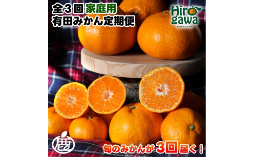 家庭用 有田 みかん 定期便 【2.5kg×3回】 / 温州みかん 有田みかん 甘い 訳あり 和歌山 有田 2.5kg ※北海道・沖縄・離島への配送不可