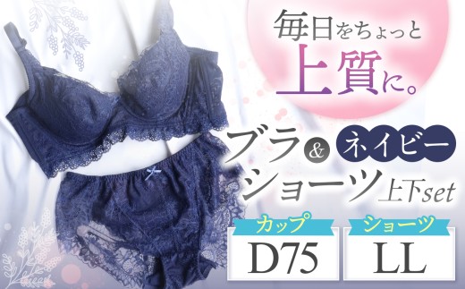 ブラ＆ショーツ 上下セット ネイビー D75＆ショーツ LL | 女性用下着 レディース ブラ＆ショーツ ブラ ショーツ ネイビー 上下セット 君津市 きみつ 千葉県