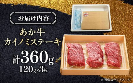 【GI認証】くまもとあか牛カイノミステーキ 120g×3枚　【有限会社 三協畜産】[YCG126]