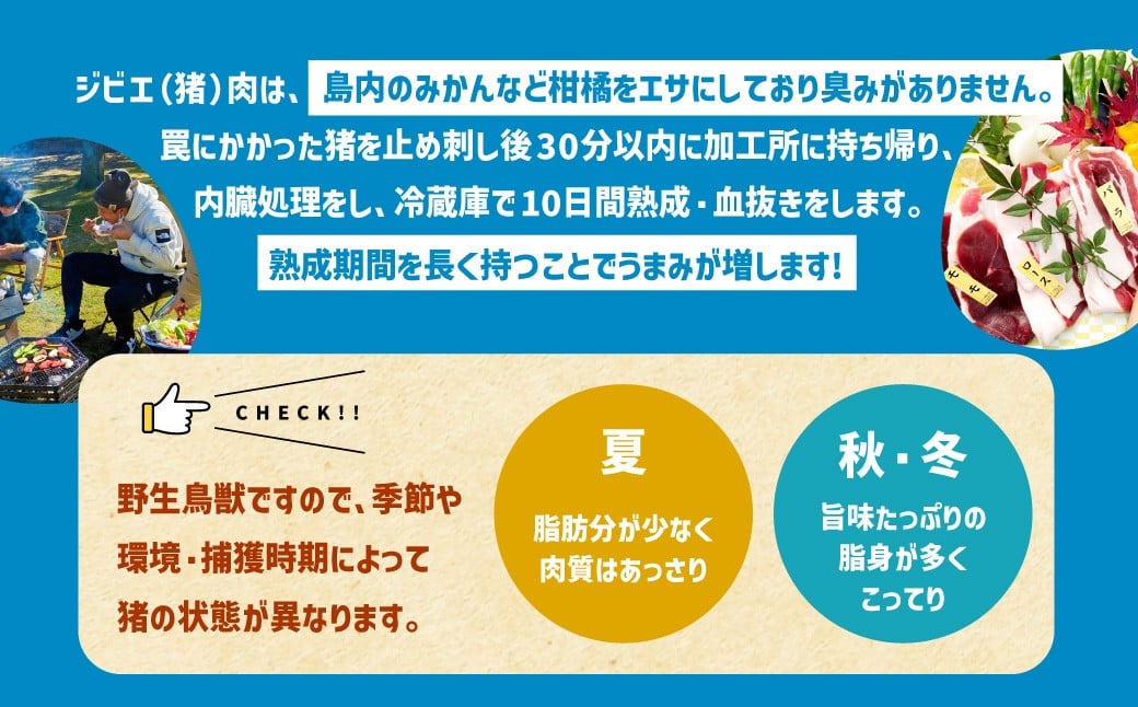 ジビエ BBQ付 1泊2日 キャンプ場 ご利用プラン【5人様用引換券】