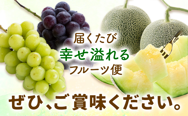 【2回定期便】旬のフルーツ便【養生市場】 定期便 ぶどう詰め合わせ約1.5kg メロン約2kg×2玉 2回発送 《季節ごとに出荷予定》 果物 フルーツ 九州産 熊本県産 送料無料