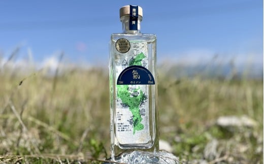 
            のとジン　氣　500ml
          
