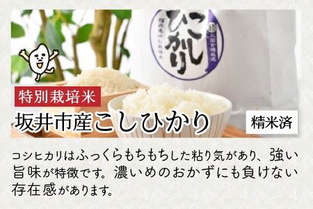 【令和7年産】お米屋さんこだわり極上米セット 計10kg いちほまれ・特別栽培米こしひかり 【人気 品種 ブランド米 特A】 [C-6111]