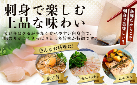 カジキの刺身とカジキの骨付き肉のセット G002