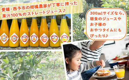 ＜一歩会 ジュエリーボックス ジュース飲み比べセット ミニ 300ml×4本入り＞ 愛媛 果汁 100% ジュース ストレートジュース みかんジュース セット 柑橘 飲料 オレンジ 特産品 渡江から一
