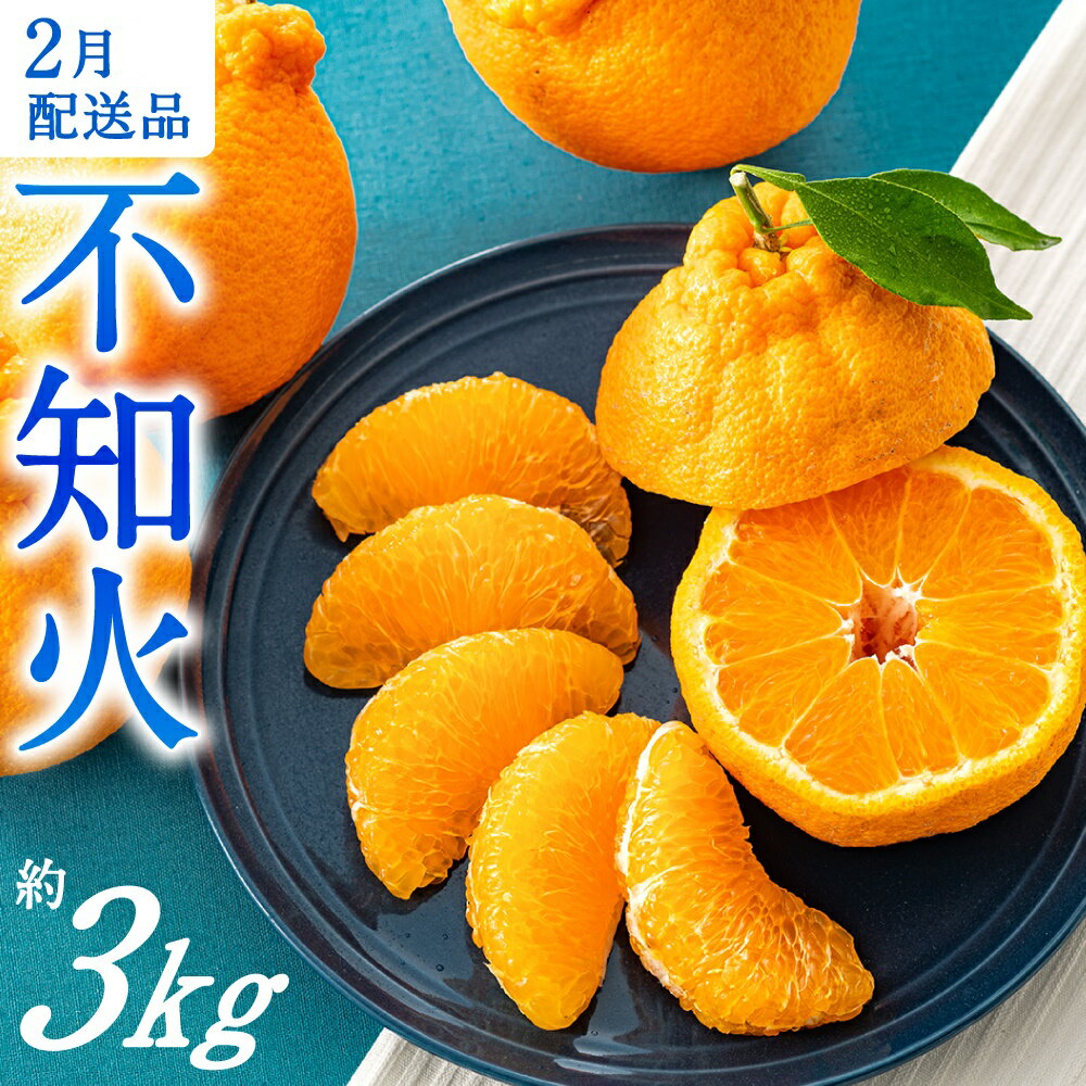 【ふるさと納税】農家直送の不知火／約3kg（2026年2月発送予定).AA132