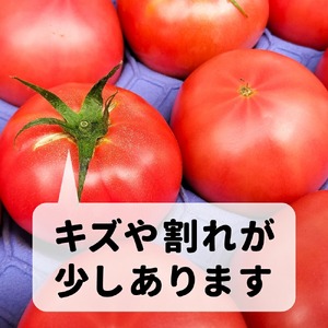 訳あり 親バカ トマト 2kg【SN007-wl-2kg】トマト トマト