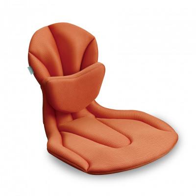 ふるさと納税 蒲郡市 ジムドライブ2　セピアオレンジ_【G0060】