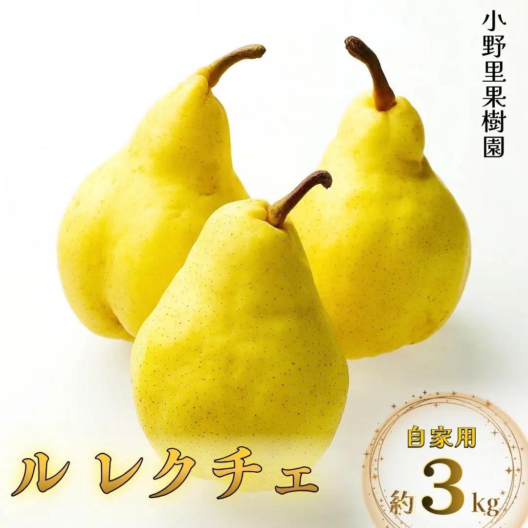 先行予約 洋梨 ル レクチェ 自家用 約3kg(6~9個) 新潟県産ル レクチェ 洋梨 小野里果樹園
