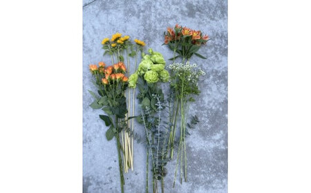 素材を楽しむ季節のお花(全12回）【 神奈川県 小田原市 】