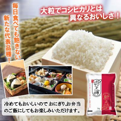 ふるさと納税 南魚沼市 【先行受付】南魚沼産新之助10kg<2025年11月上旬発送開始予定> |  | 01