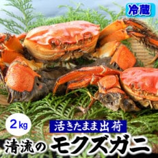 天然　活モクズガニ　約2kg　兵庫県新温泉町