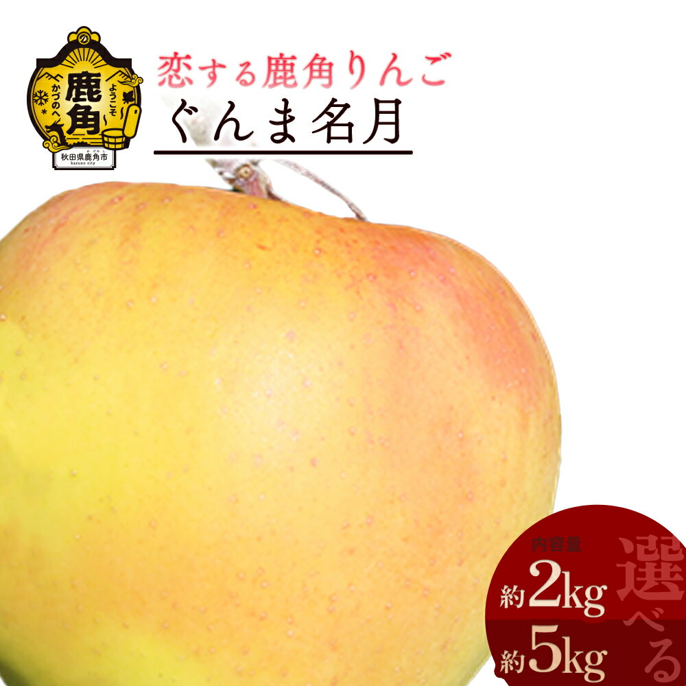 【ふるさと納税】《 先行予約 》 鹿角 りんご ぐんま名月 5kg かづのりんご 食感 果汁 さっぱり リンゴ 完熟 旬 県産りんご お中元 お歳暮 贈り物 お見舞い グルメ ギフト 故郷 秋田 あきた 鹿角市 鹿角 送料無料 【恋する鹿角カンパニー】