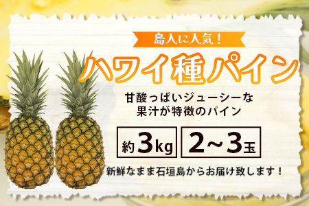 石垣島産 ハワイ種パイン 2～3玉セット 約3㎏【 産地直送 石垣島産 石垣 完熟 パイン パイナップル 】TD-6