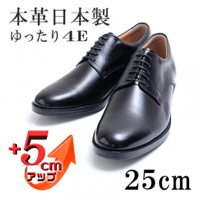 ふるさと納税 大和郡山市 メンズビジネスシューズ 5cmアップ本革シークレットシューズ 紐 No.1693 黒 25cm