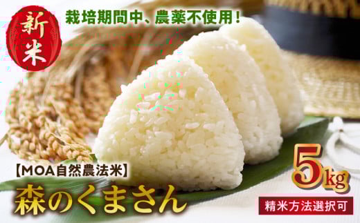 70-270_5　先行予約＼☆新米☆／カワノ農園　　MOA自然農法米「森のくまさん」玄米5kg