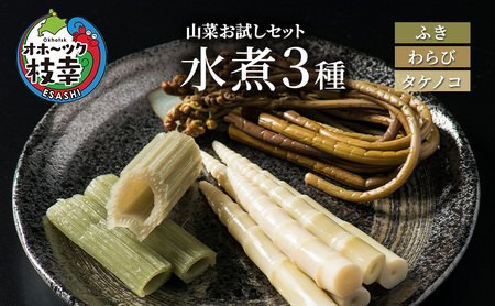 山菜お試しセット 水煮3種（フキ・ワラビ・タケノコ）【 山菜 フキ ワラビ タケノコ 野菜 山菜 北海道 オホーツク 枝幸 】